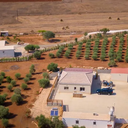 Ferienhaus Olive House